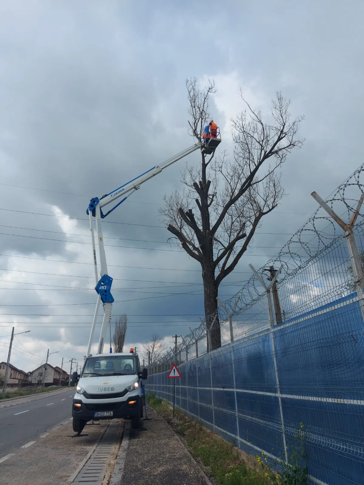 Doborari arbori periculosi Bucuresti